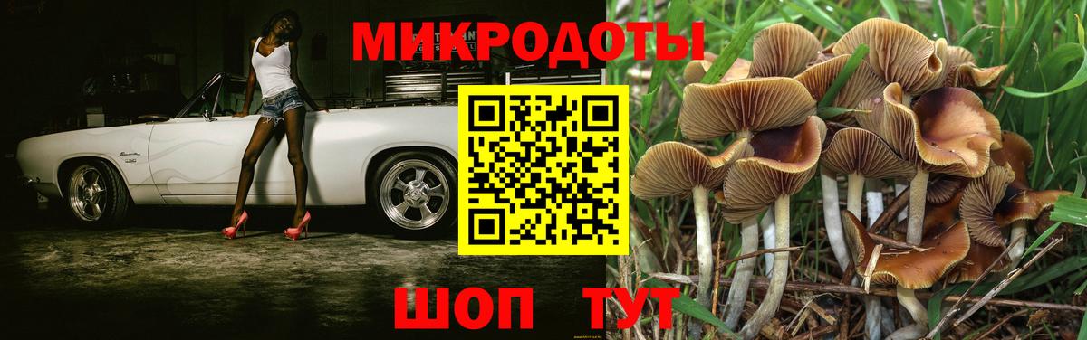 Псилоцибиновые грибы прущие грибы Братск
