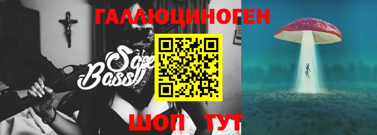 Братск  Псилоцибиновые грибы мухоморы  Вход с VPN  Галлюциногенные грибы Psilocybe 